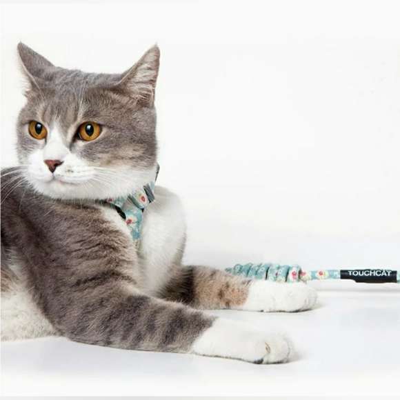 SOLD- Large Cat Harness Leash Combo - Picture 3 of 8